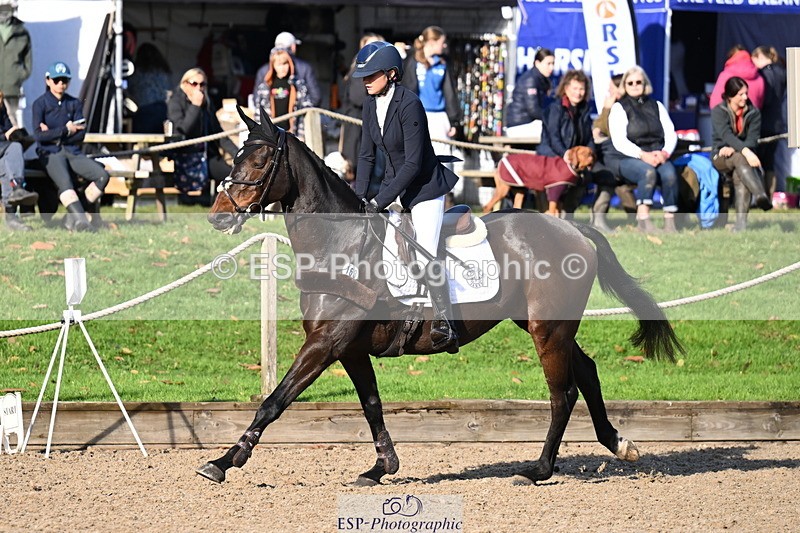 251024A-111124-06728 - B-163-Molly.Grew