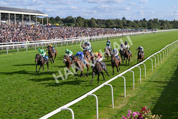 240824-Race 6-Tropical Storm-1840 - Race 6 4.45pm Julia Graves Roses Stakes