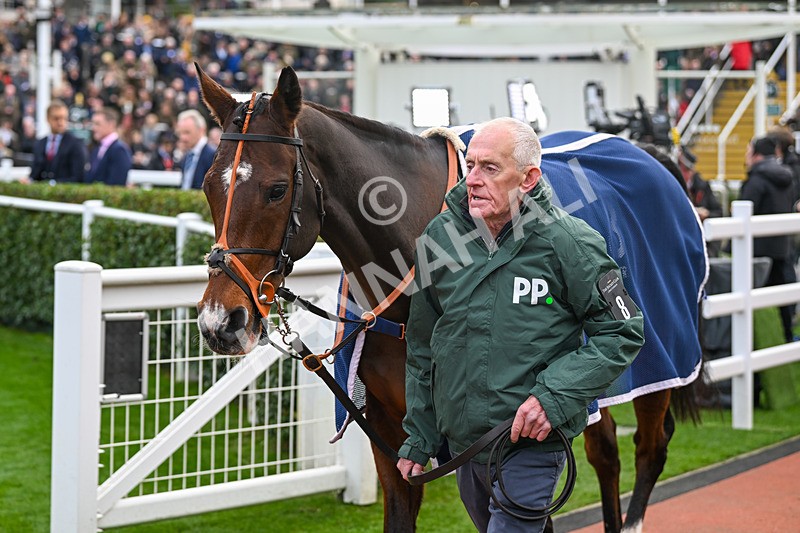 161124-Race 4-Paddock-Jetoile-0119 - Race 4