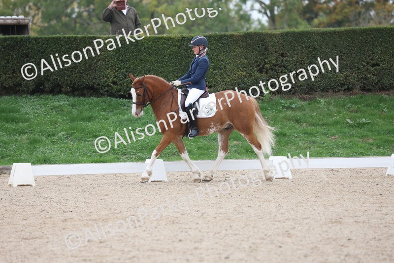 20251011-0406 - Class 4 - Novice 2