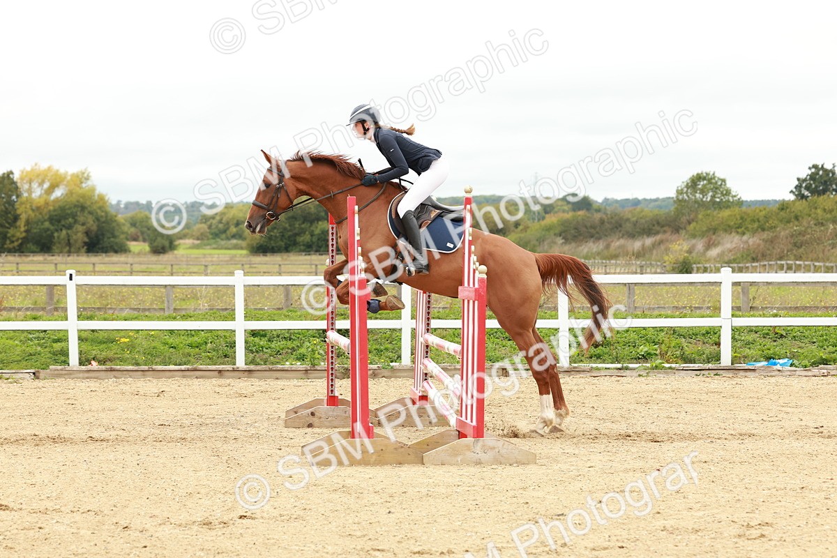 1I0A6962 - Class 2 - Senior British Novice