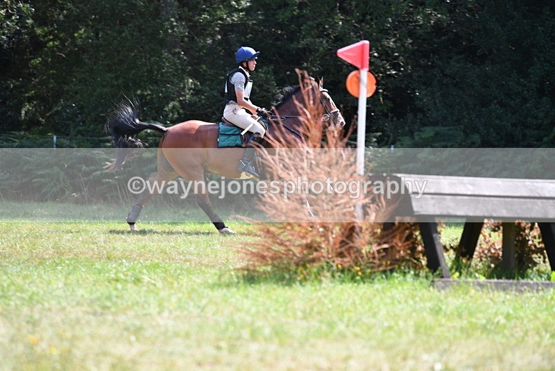WJ5_2882 - XC Time 12:35 to 12:59