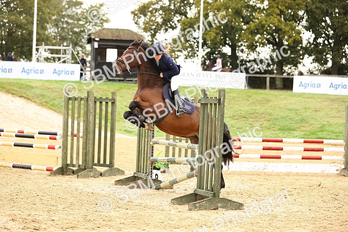 SBM_58507 - J41 - Grand Tour Horse & Pony 95cm