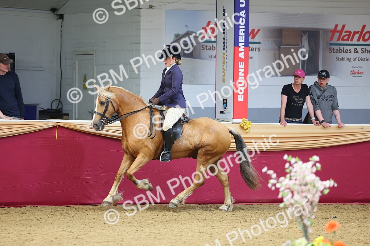 SBM_23555 - Class 904 - Supreme Final Ridden Diamond