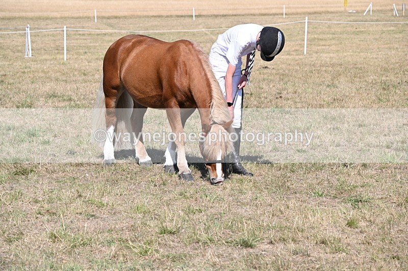 WJ6_9402 - Class 40 Cheekiest Pony/Horse