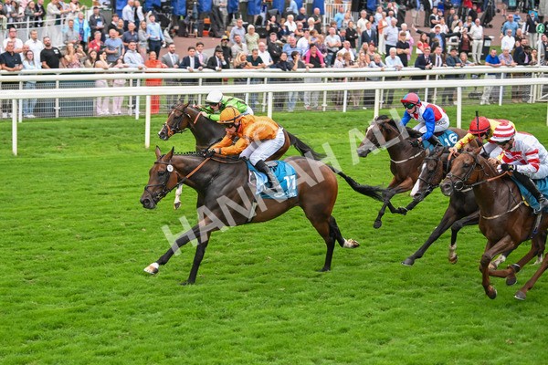 080925-Race 7-Canvas-7857 - Race 7 5.30pm Sky Bet, For The Fans Mile Apprentice Handicap