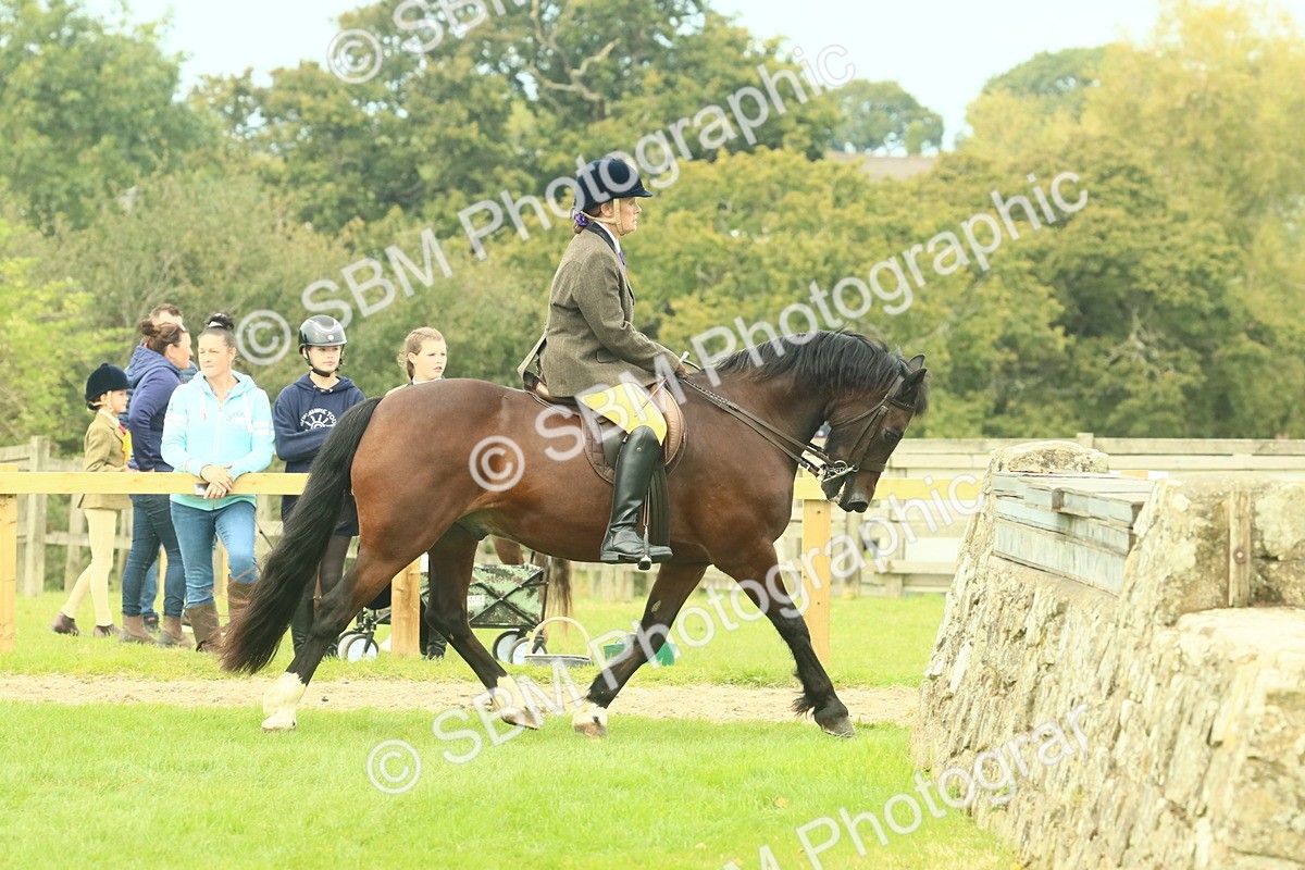 SBM_71844 - S60 - Mountain & Moorland Ridden Large Breeds
