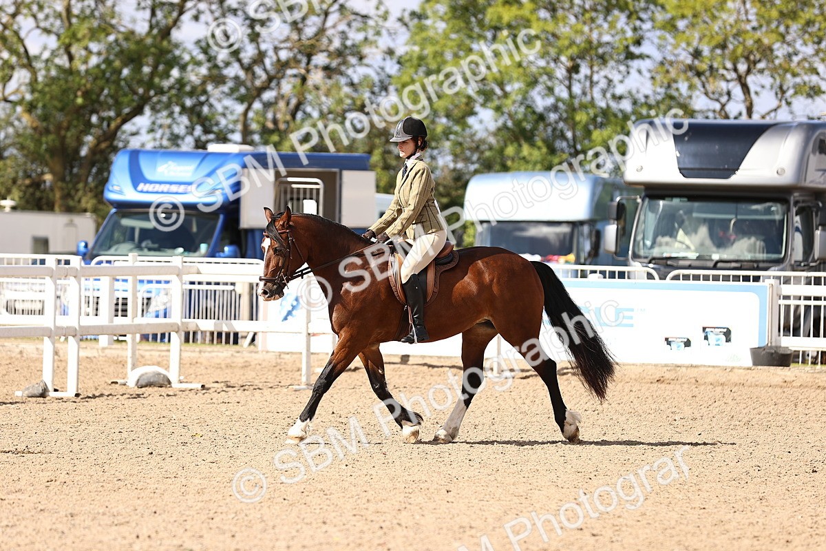 SBM_11628 - Class 408 - Grassroots Ridden - Walk & Trot