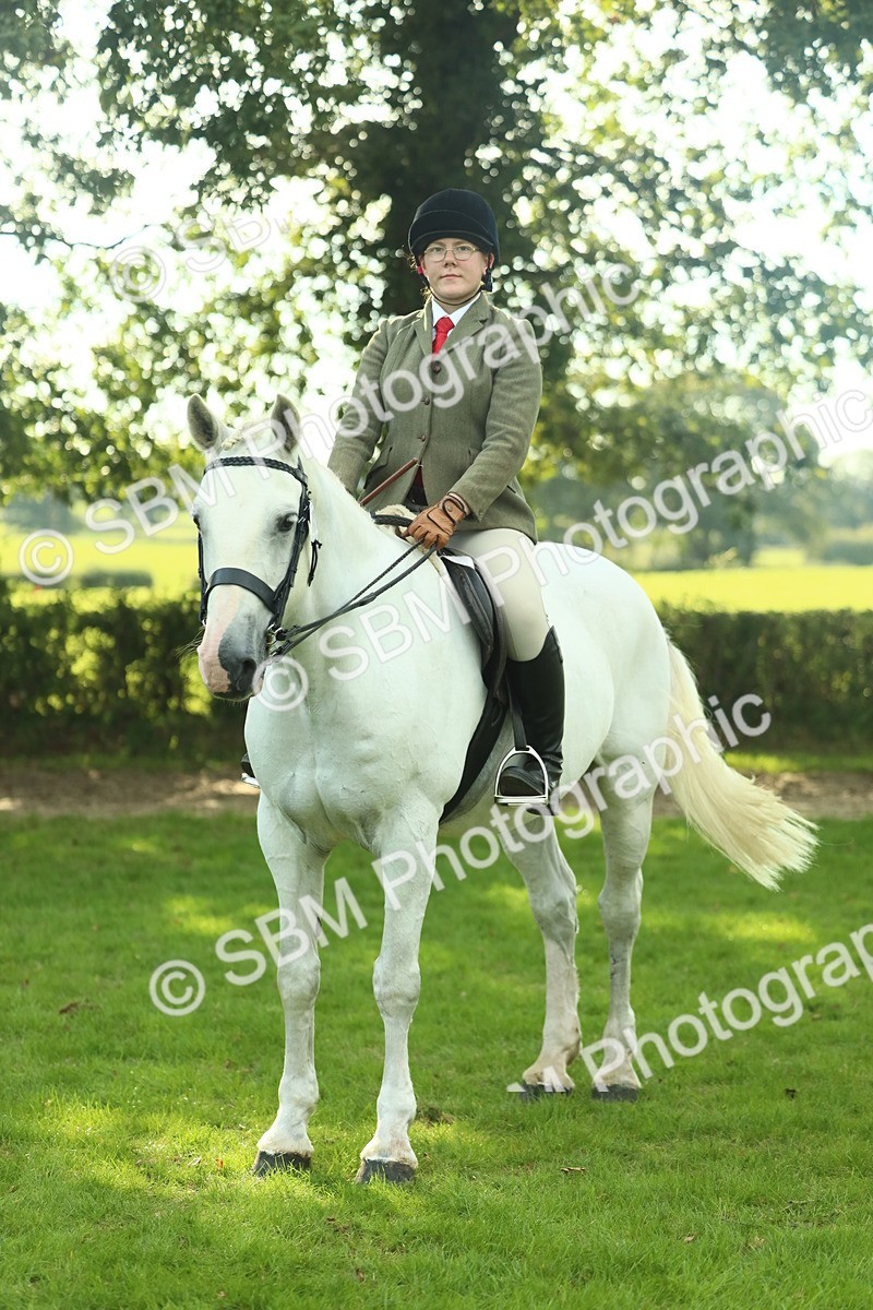 SBM_52180 - S33 - Working Hunter & Working Show Horse