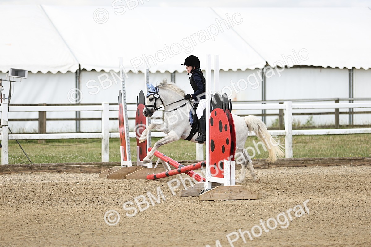 SBM_003282 - 40cm showjumping