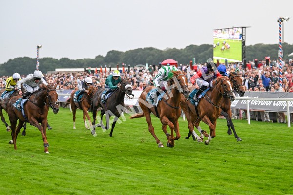 250725-Race 5-Sand Gazelle-6044 - Race 5 7.48pm British EBF Lyric Fillies' Stakes