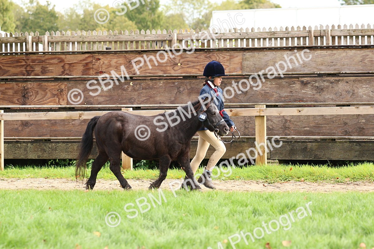 SBM_40722 - S25 -  Veteran In Hand