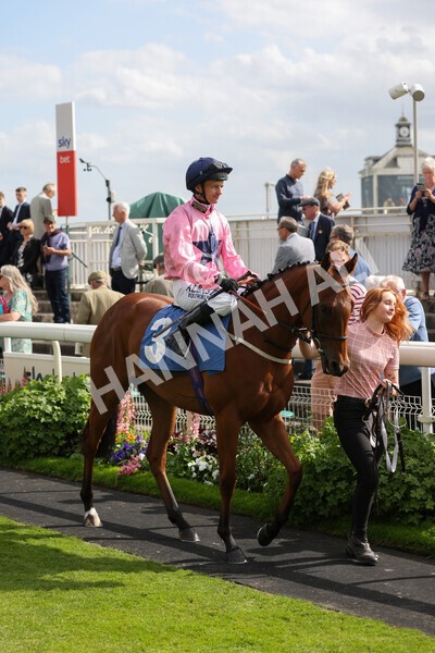 yr10062022r6-6 - Race 6 4.40pm No 1 York by GuestHouse Hotels British EBF Novice Fillies Stakes