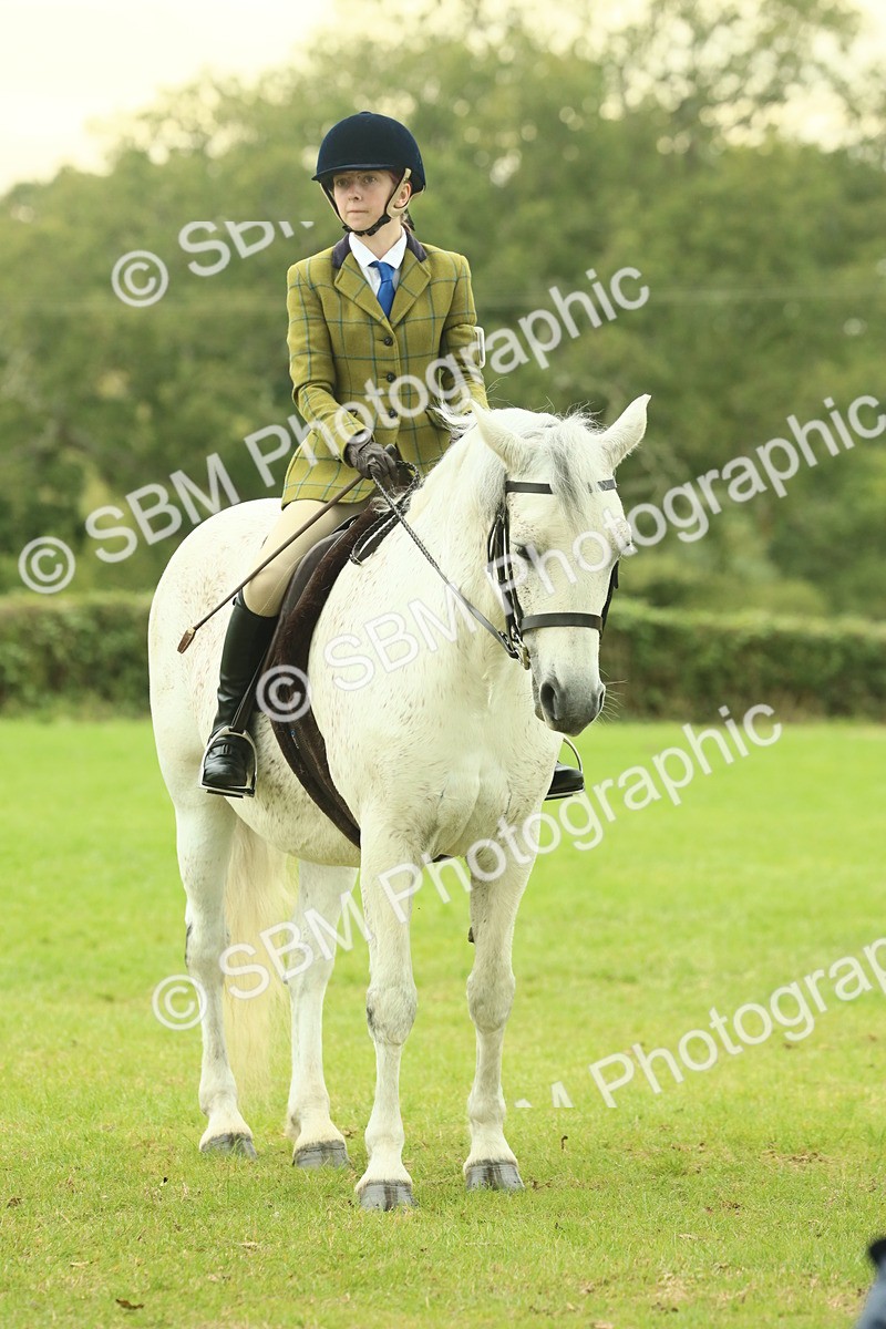 SBM_72211 - S60 - Mountain & Moorland Ridden Large Breeds