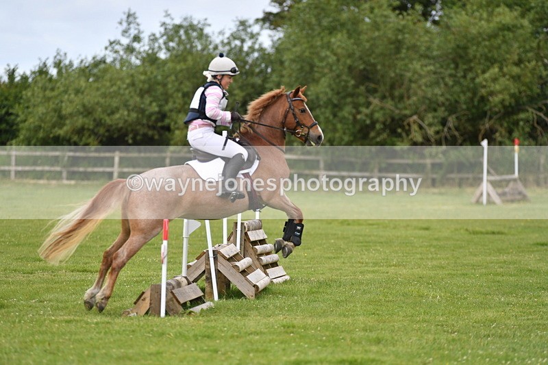 WJ5_2481 - Class 2 40cm