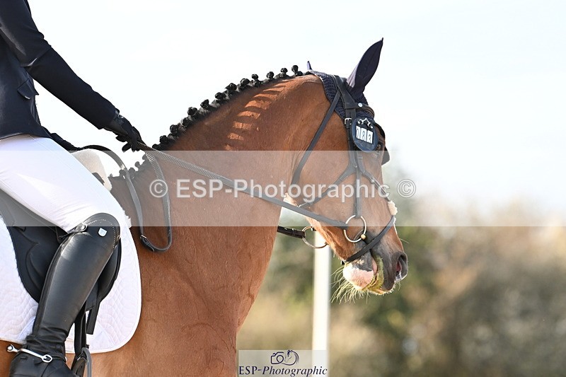 240324A-160932-04767 - Novice 28, 15.33 to 16.15