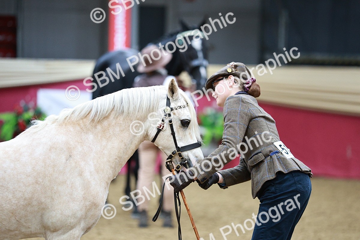 SBM_00210 - Class 1A - Area IH Diamond