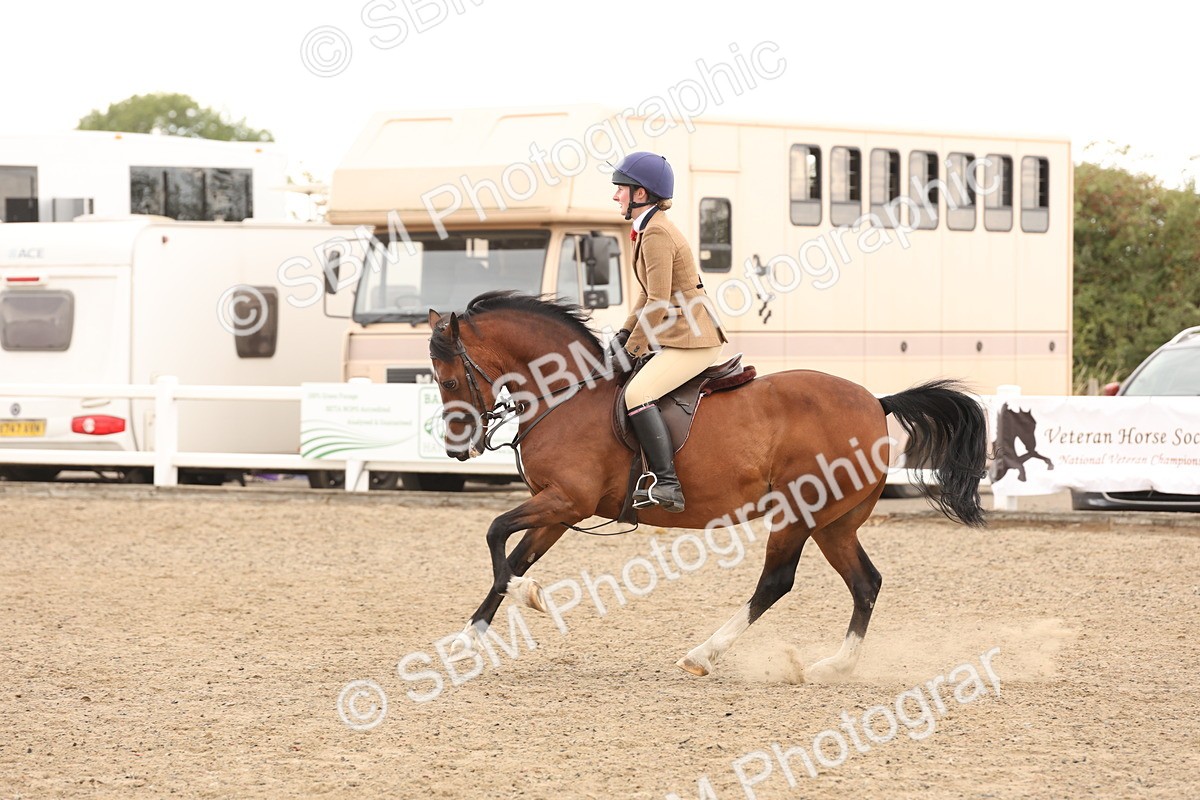 SBM_06717 - Class 58a -  Style & Performance - 70cm (15-19)