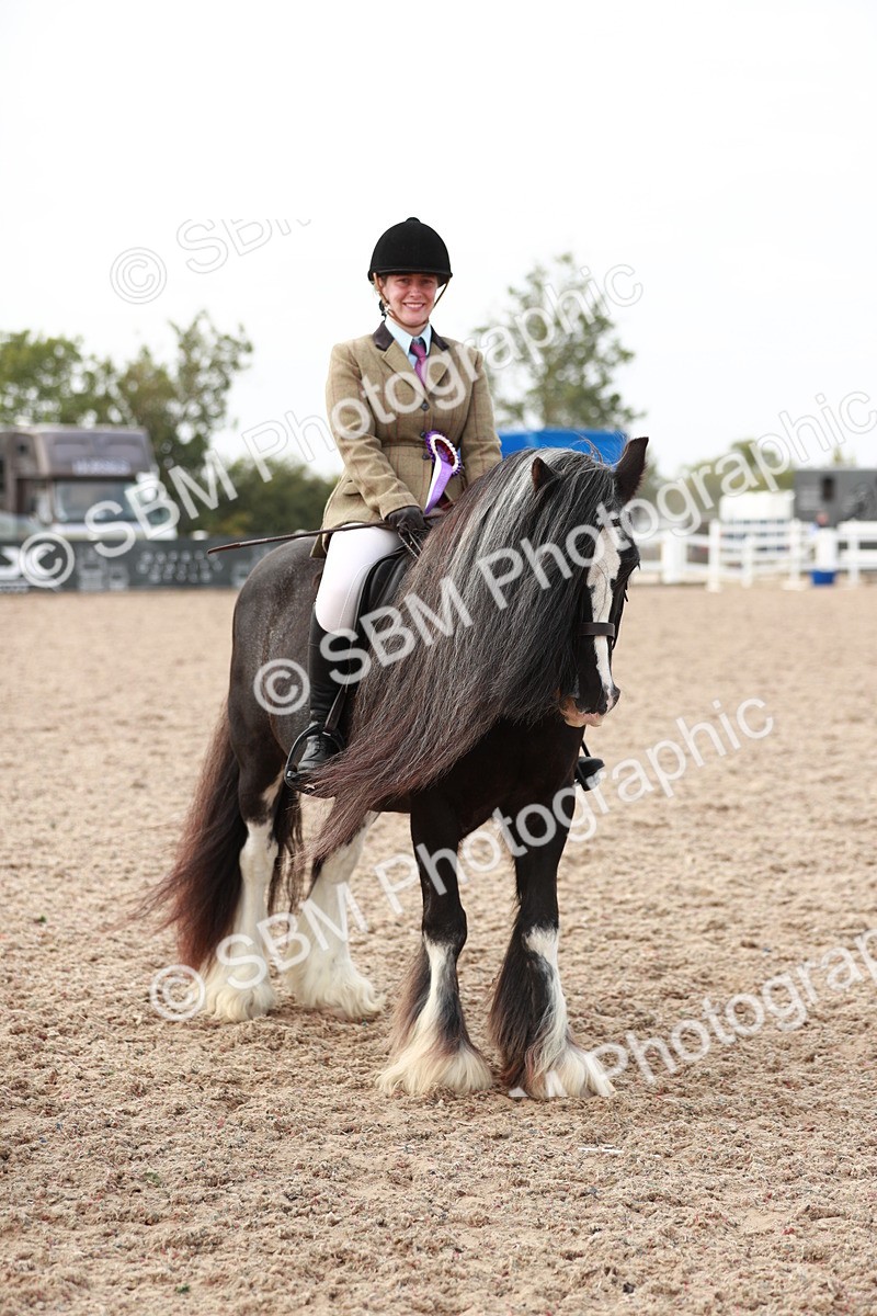 SBM_16834 - Class 214 Ridden Cob