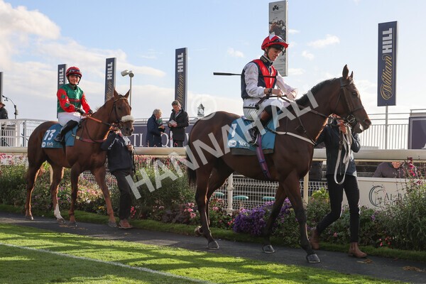 yr07102022r5-9 - Race 5 4.25pm Copper Knight Winningmost Horse Stakes