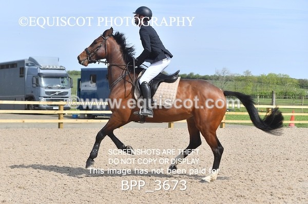 BPP_3673 - CLASS 1 Clear Round Show Jumping