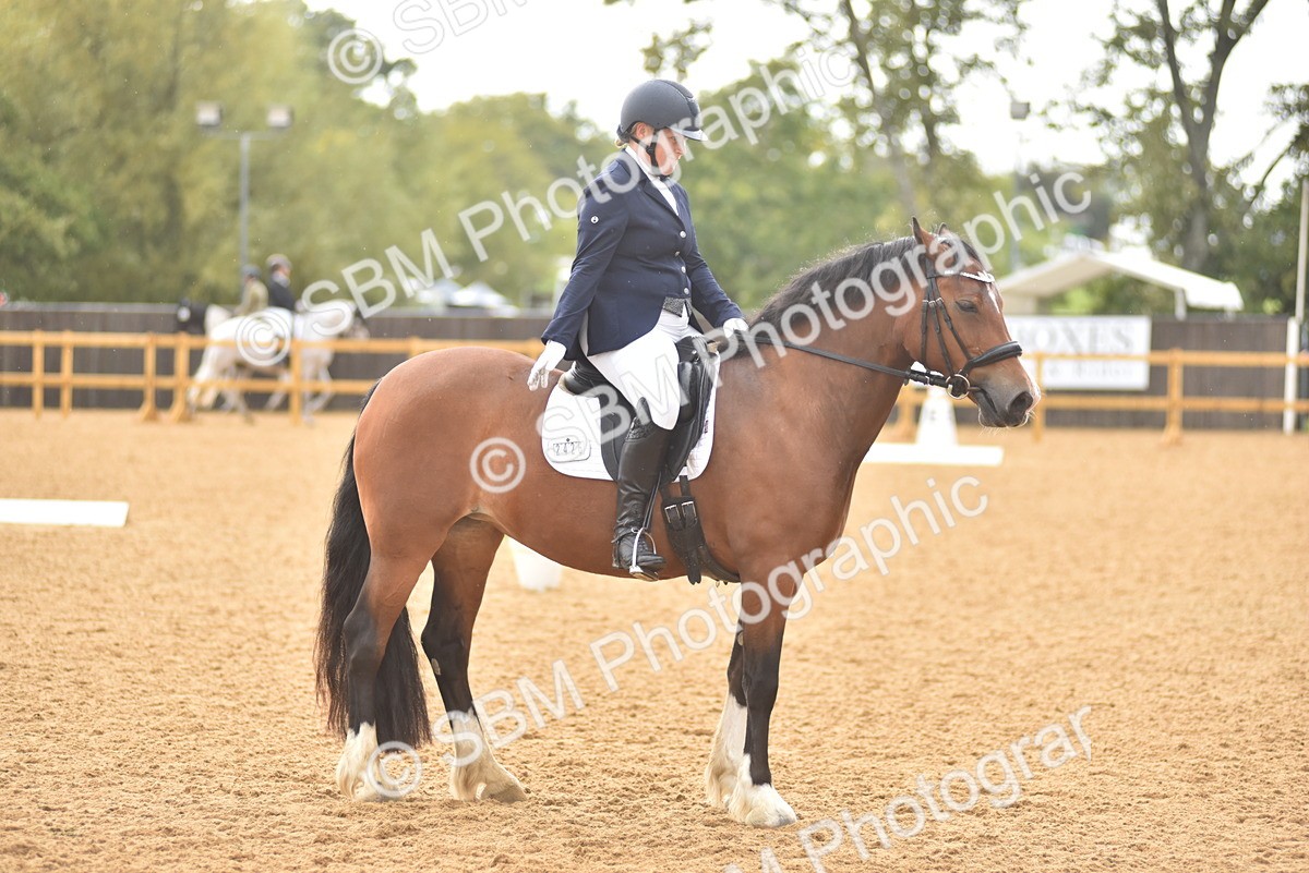 SBM_02092 - D7 - Small Tour Championship Prelim 2