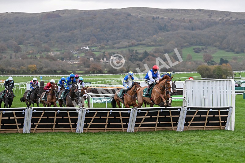 161124-Race 6-Wyenot-1416 - Race 6