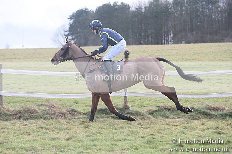 PtP 230119 36 - Royal Artillery Point-to-Point  - Larkhill  - 26/01/19