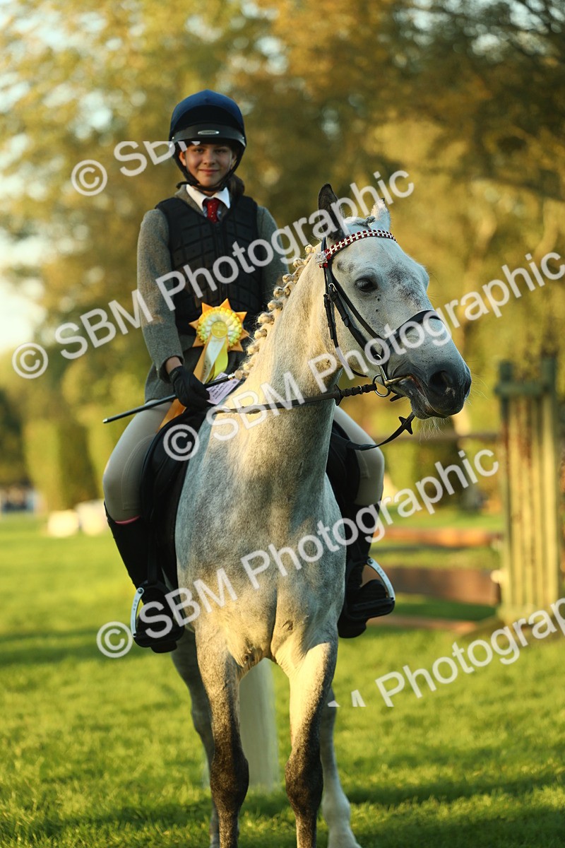 SBM_56540 - S14 - Riding Club Horse
