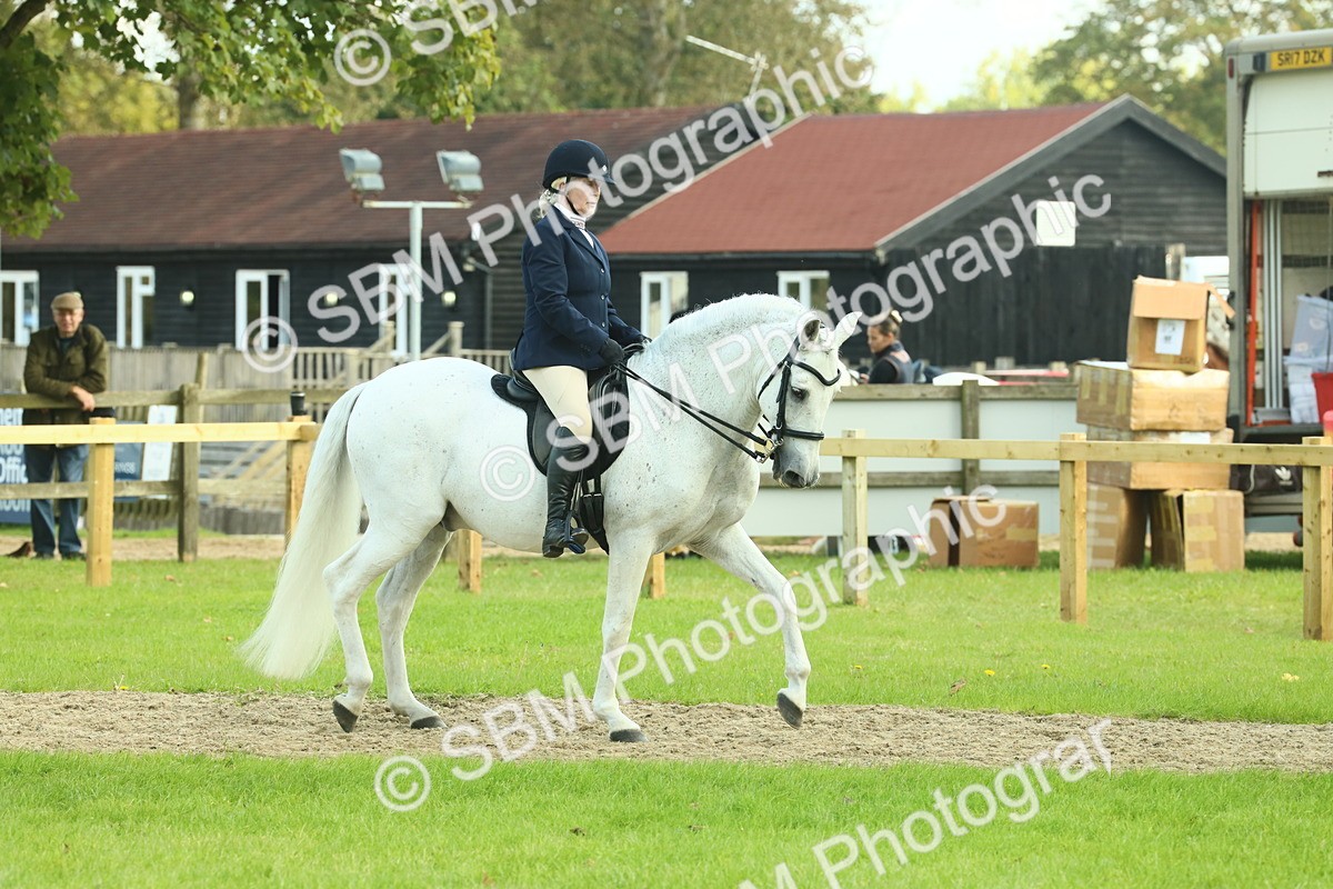 SBM_62385 - S62 - Foreign Breeds Ridden