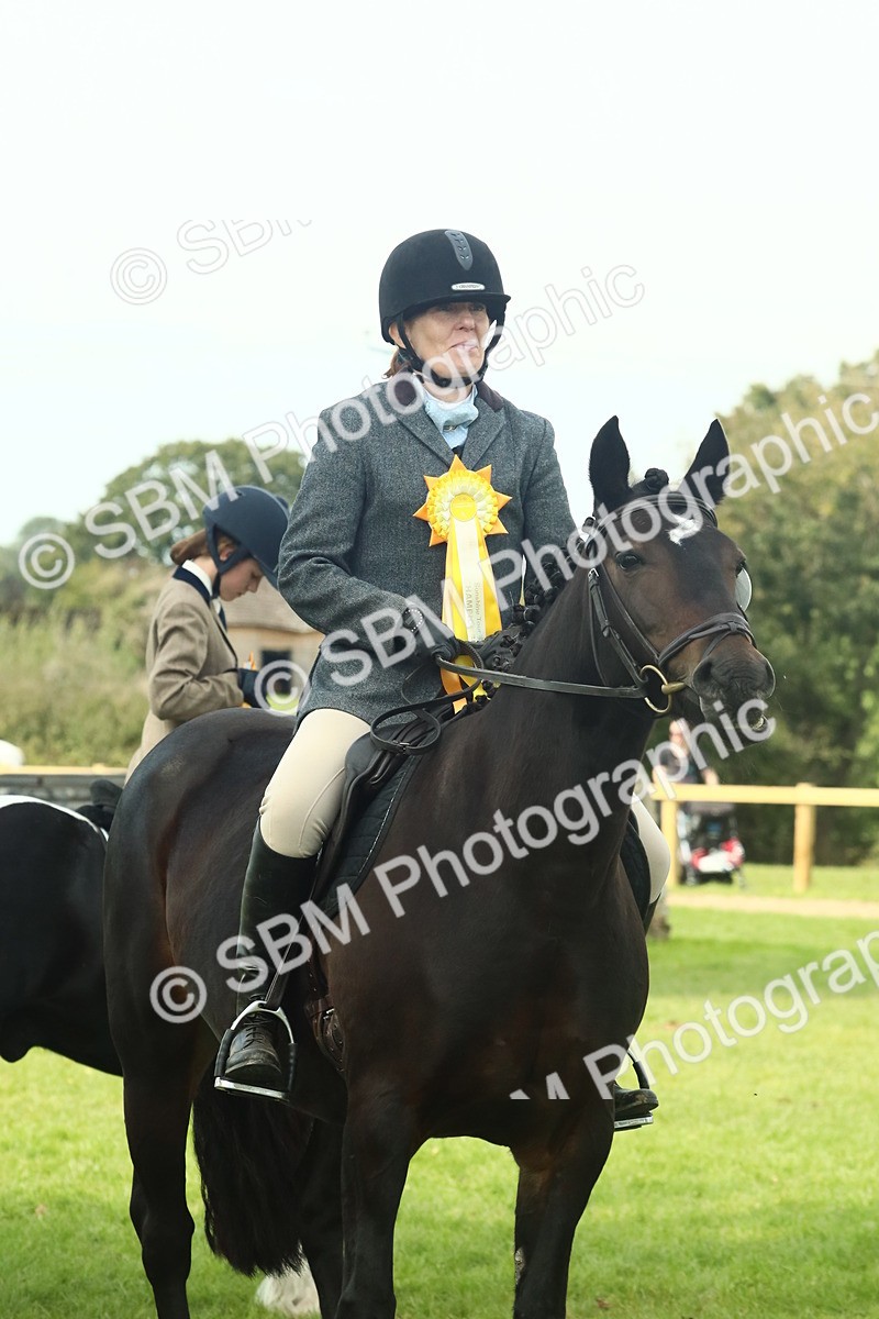 SBM_66786 - S34 - Rehabilitated Rescue Horse & Pony In Hand & Ridden
