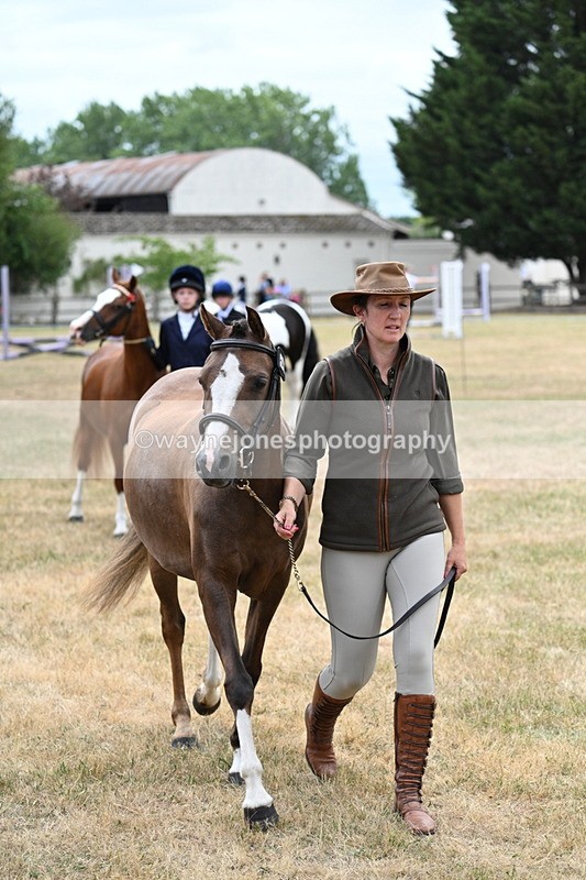 WJ7_1412 - Class 4 Prettiest Mare up to 14.2hh in hand