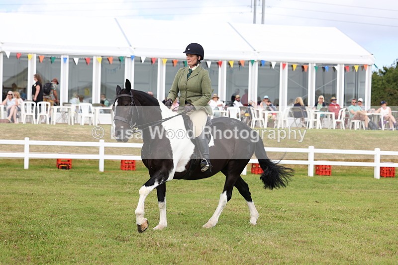 3E7A0329 - Class 6: Rising Star Maxi Cobs