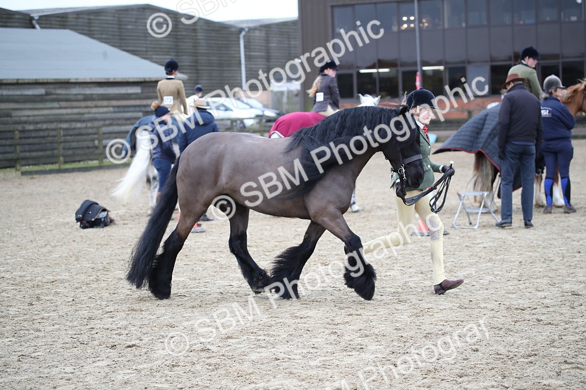 SBM_006183 - Class 10-13 - RIHS Small Large Breeds