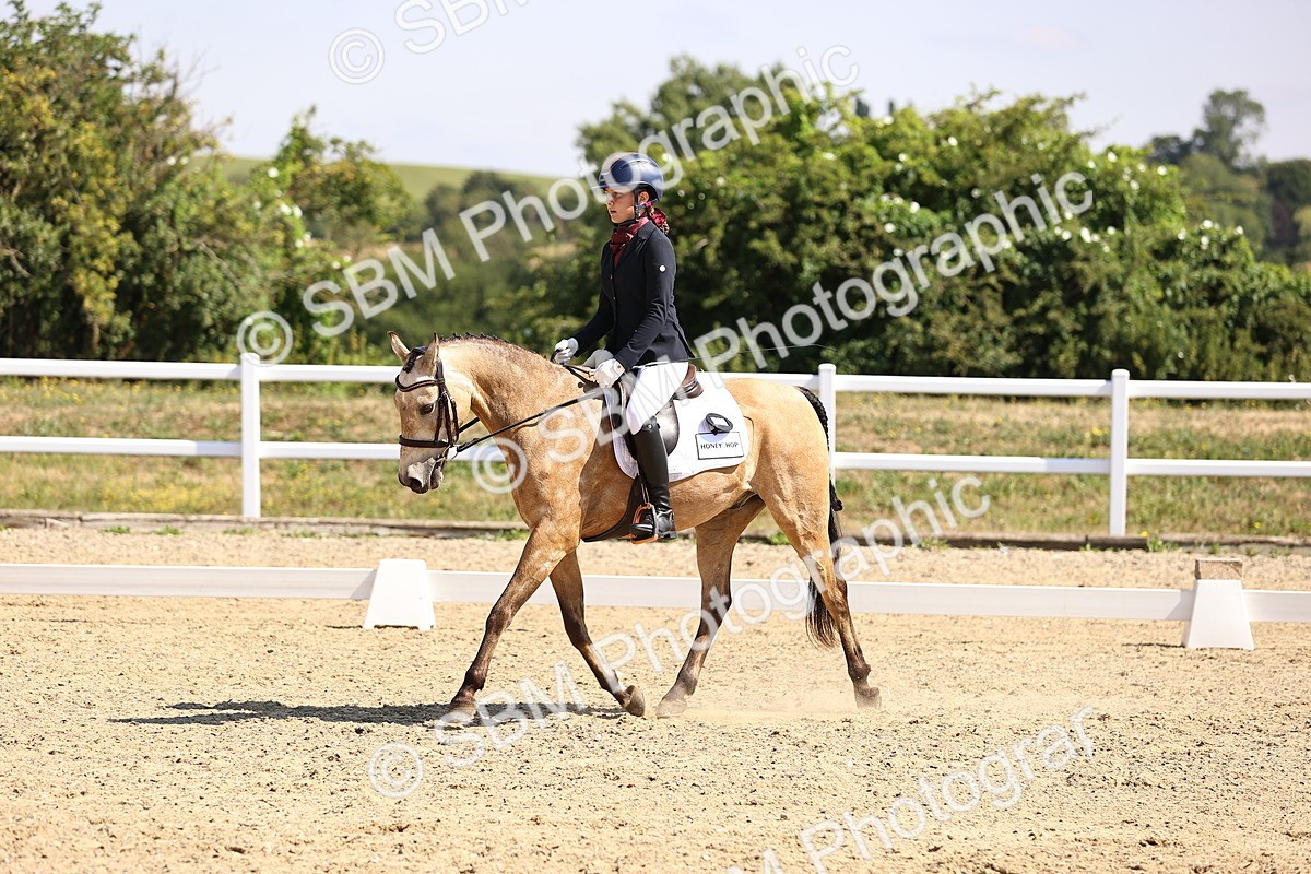SBM_003593 - Intro 2