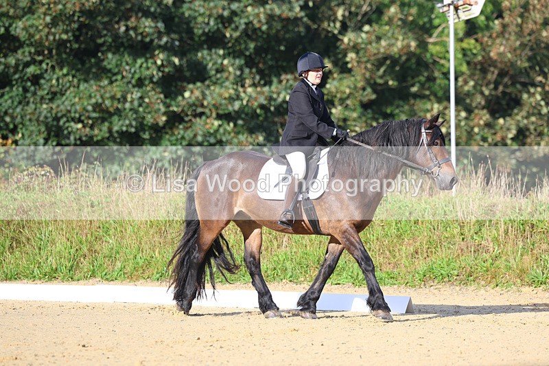 3E7A1851 - Class 1: Intro 4 2024 section A