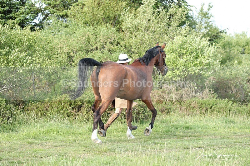 SPXX0122 - Friday vetting