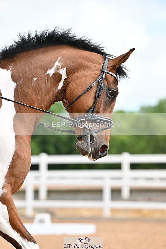240622A-090840-07333 - Cls 2A+2B+C Intro B RoR