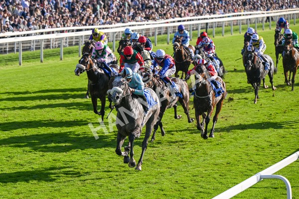 111025-Race 4-Binhareer-8821 - Race 4 Coral Sprint Trophy Handicap at York
