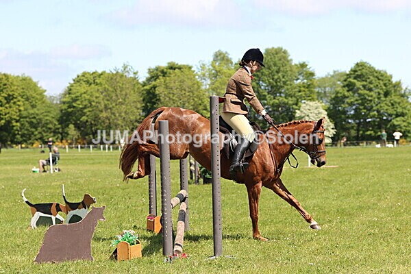 IMG_3775 - Working Hunter