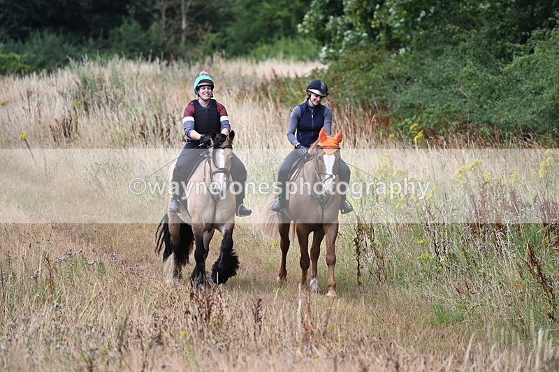 WJ6_2454 - Group 7