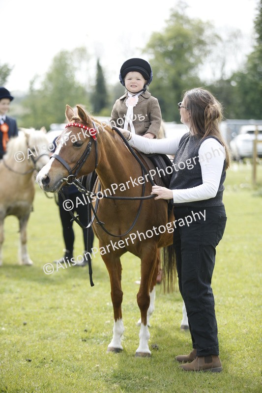 20260426-1974 - Class 8 - Prettiest Mare