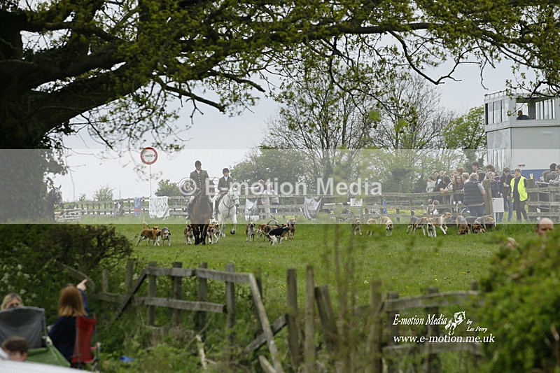 PtP 020522 238 - Mollington Races Point-to-Point 02/05/22