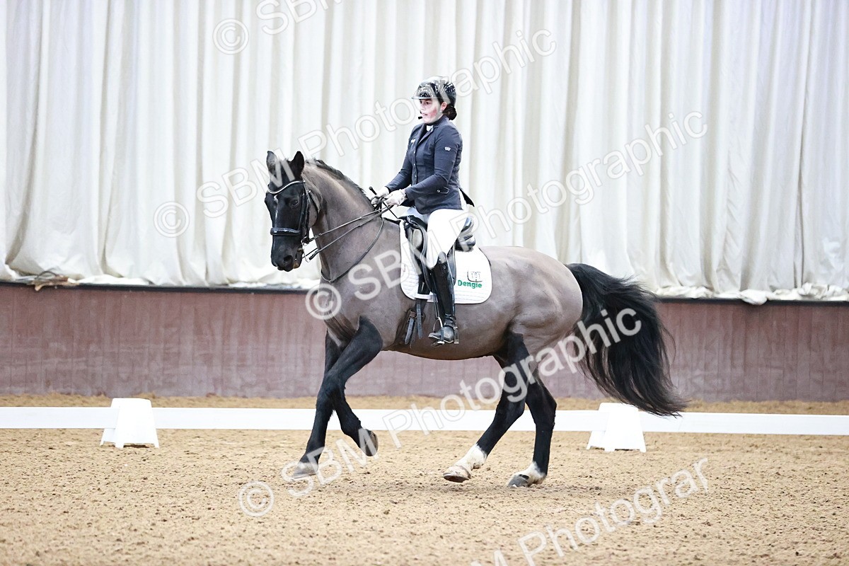 SBM_000207 - Class 4 - Novice 5