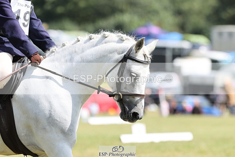 240824X-125538-27188 - D80 Section G and H 12.00 to 13.30