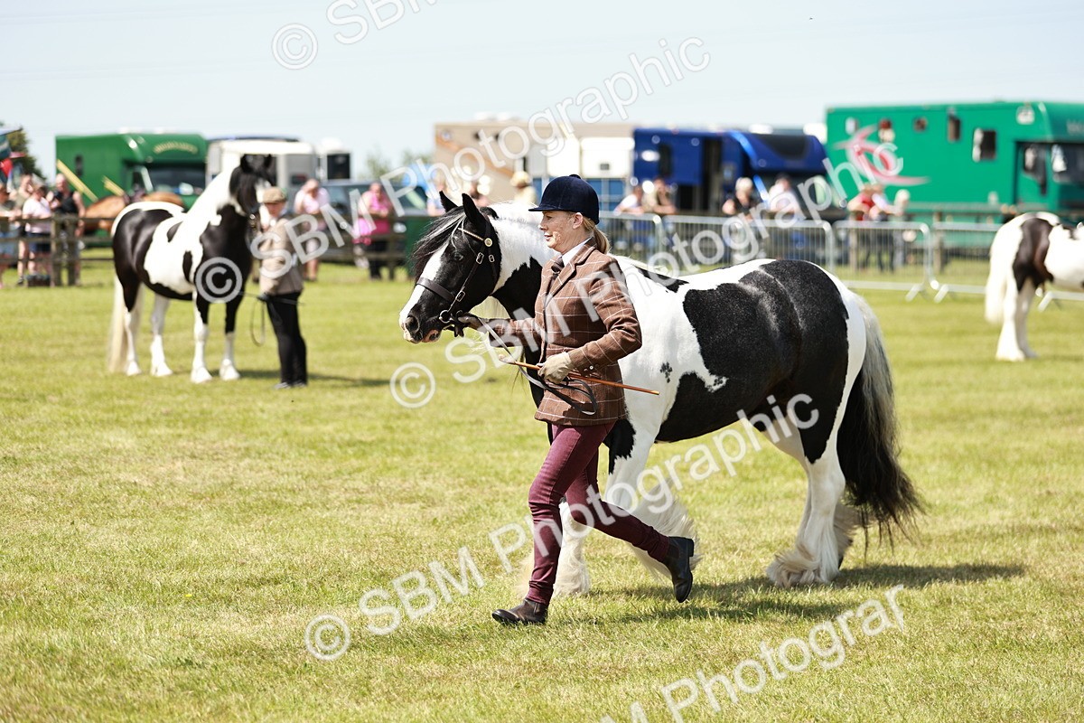 SBM_04244 - Class 39-40 - BSPA Coloured In Hand