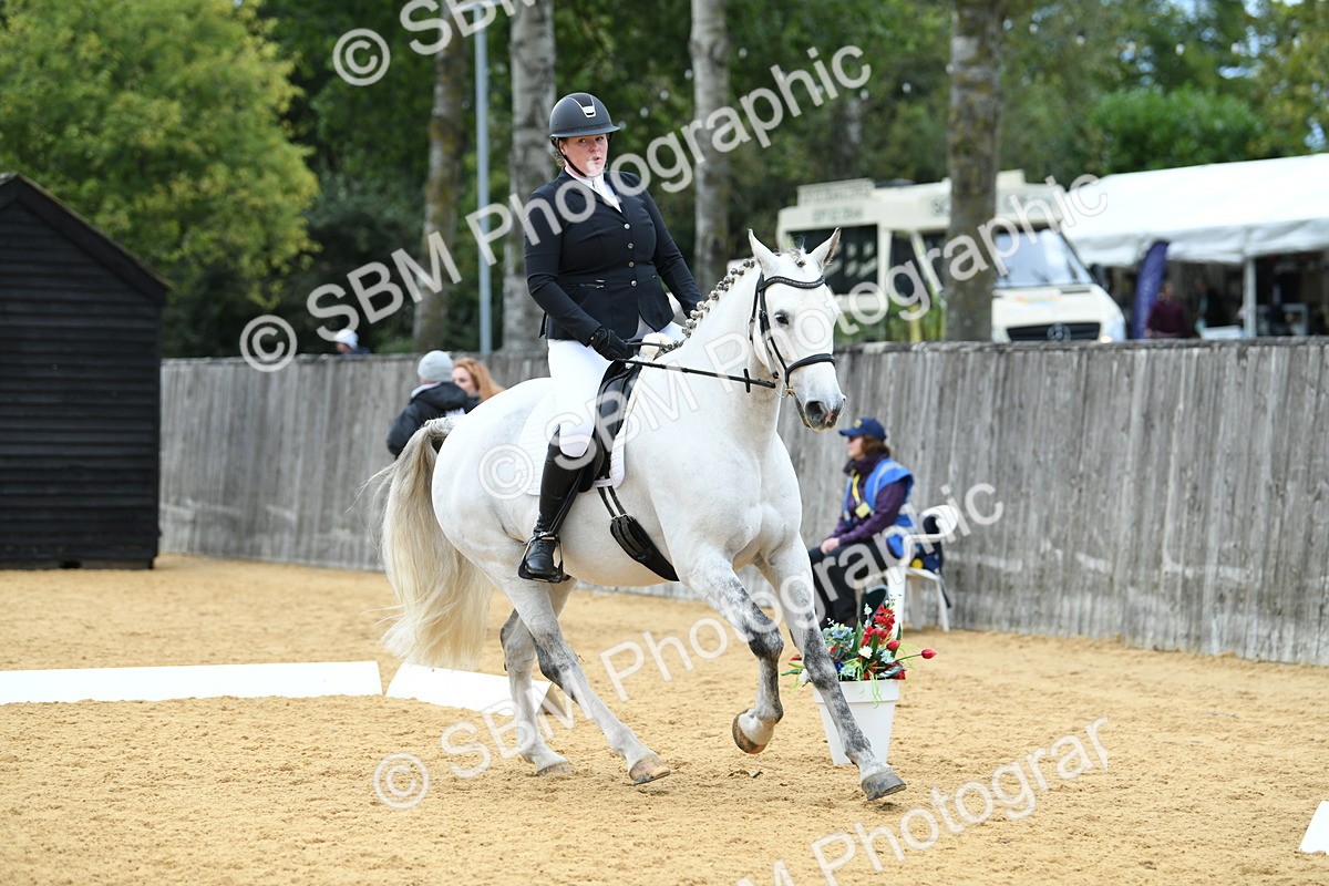 SBM_09891 - D15 Small Tour Championship Novice 24