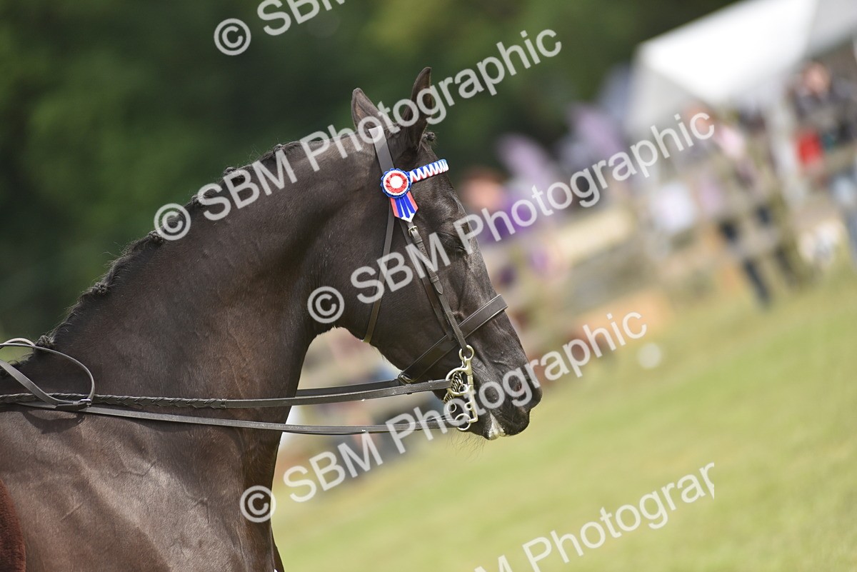 SBM_18147 - Class 122-123 - LIHS BHSA Raising Star Style and Performance Series
