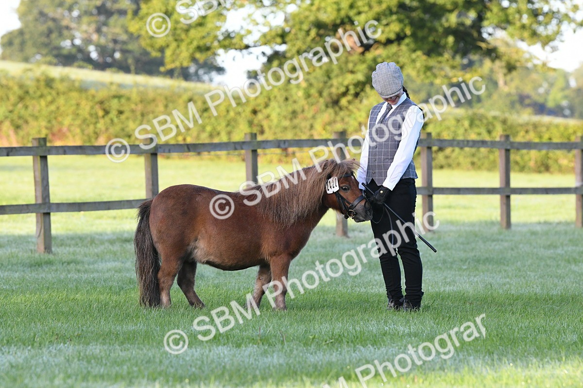 SBM_32551 - S15 - Condition & Turnout In Hand