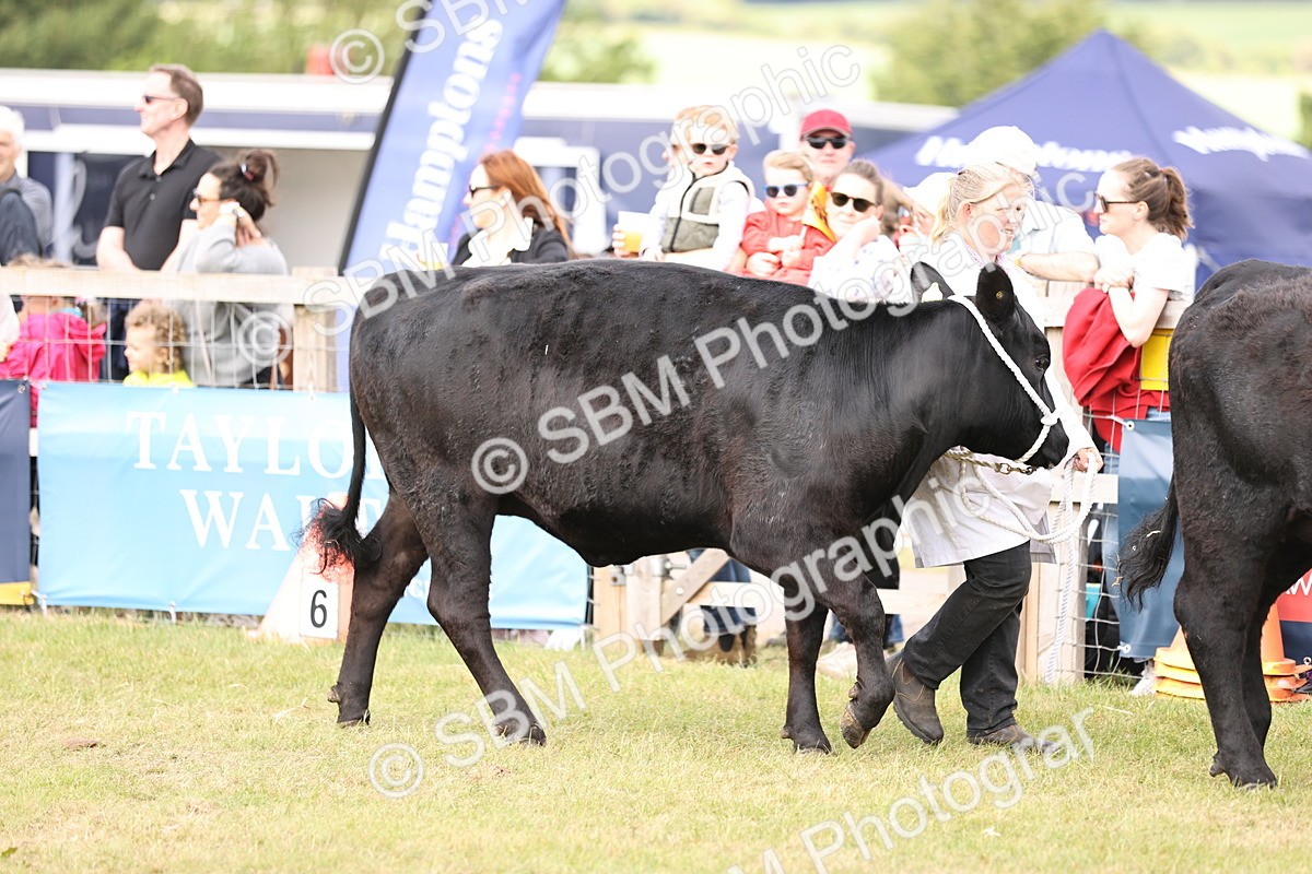 SBM_16897 - Grand Parade